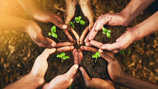 Peru economic outlook. September 2025