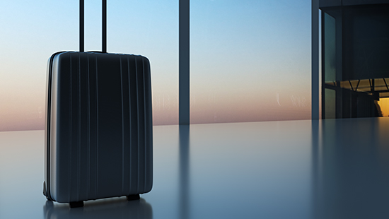 Immigration Trends in the EU