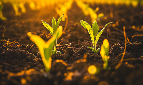 Peru Economic Outlook – March 2026