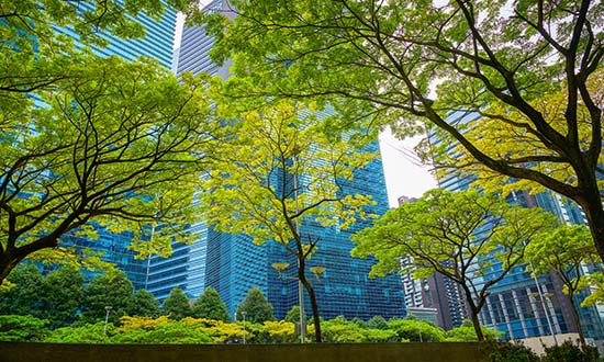 Situación Perú. Marzo 2026